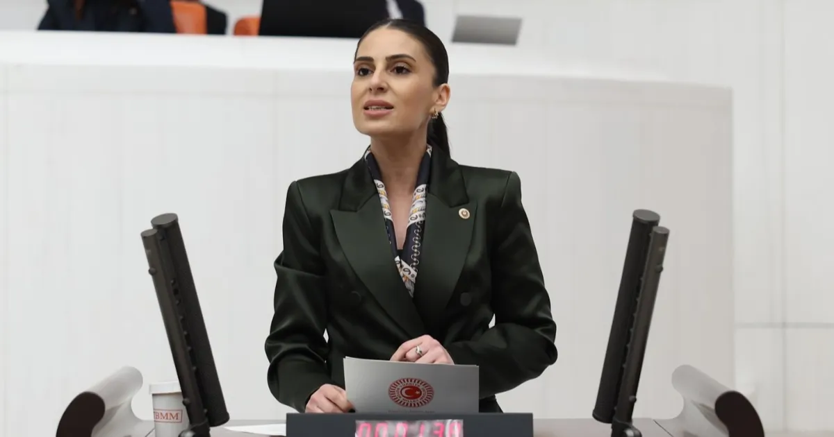 milletvekili-ozcandan-sokak-hayvanlari-icin-bakan-yumakliya-onerge-GnBra5sy.webp